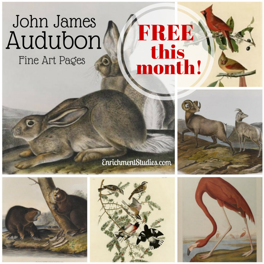 New John James Audubon Fine Art Pages Blog   John James Audubon Free 1024x1024 