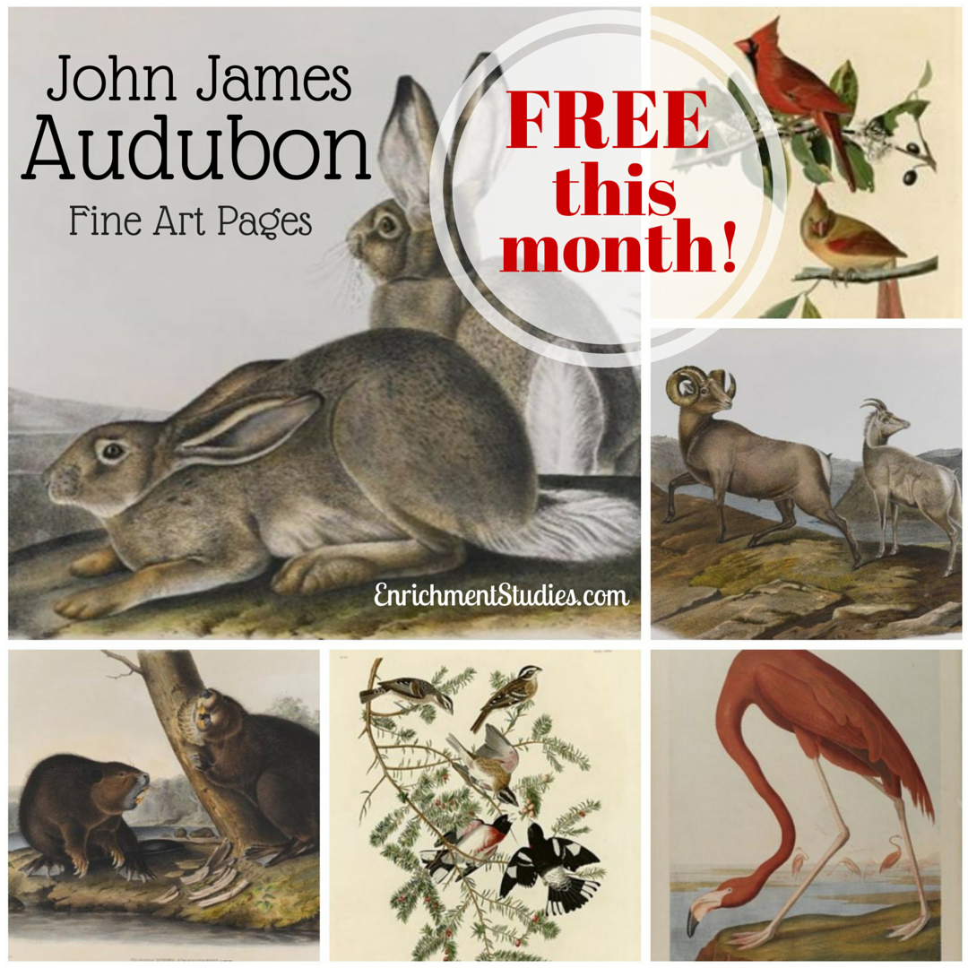 John James Audubon Fine Art Pages
